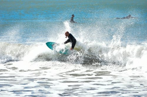 DSC 0071