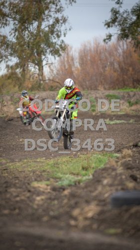DSC 3463 (1)