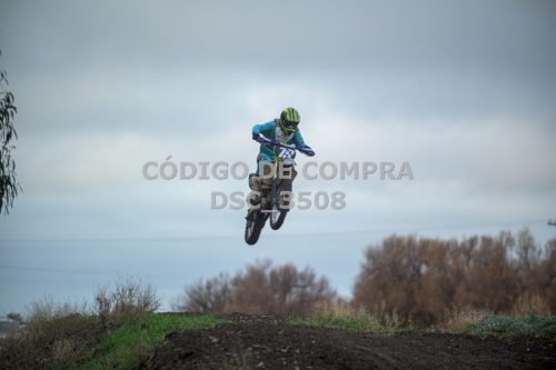 DSC 3508