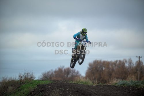 DSC 3510