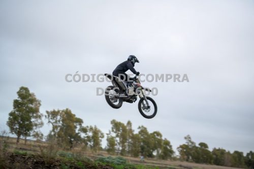 DSC 3600 (1)