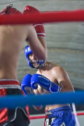 DSC 3753 (1)