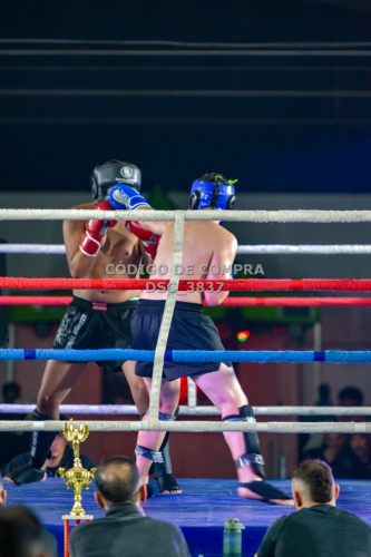 DSC 3837 (1)