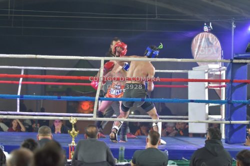DSC 3928 (1)