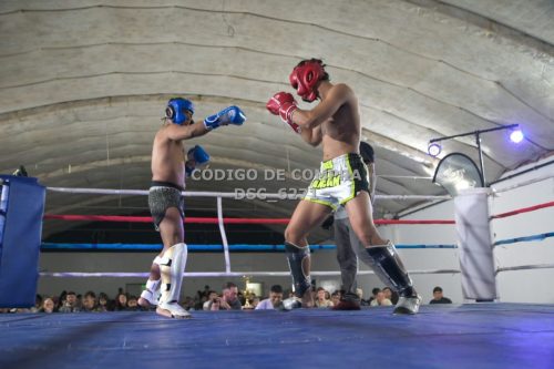 DSC 6271 (1)