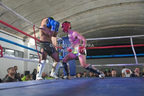 DSC 6287 (1)