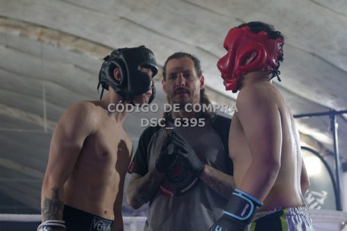 DSC 6395 (1)